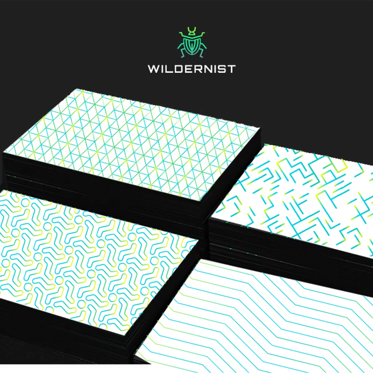 Wildernist